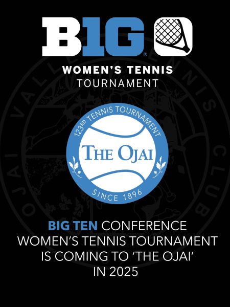 Big Ten Announcement Social